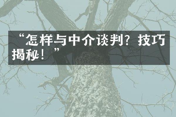 “怎样与中介谈判？技巧揭秘！”