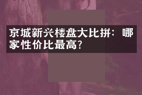 京城新兴楼盘比拼：哪家性价比？