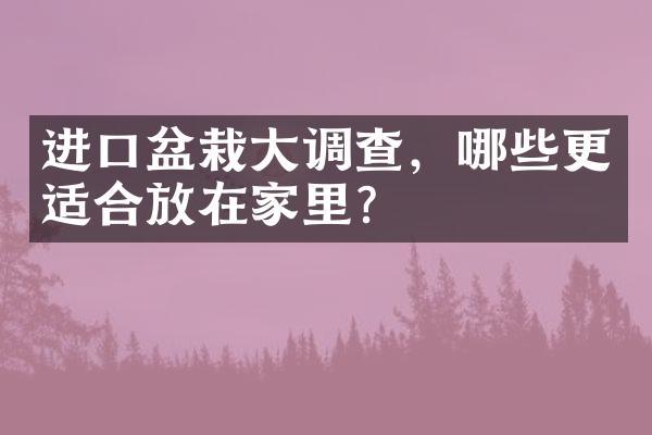 进口盆栽大调查，哪些更适合放在家里？