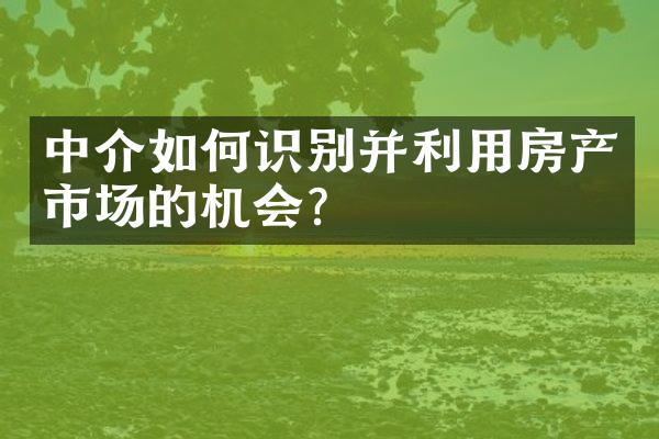 中介如何识别并利用房产市场的机会？