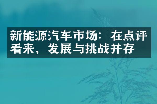 新能源汽车市场：在点评看来，发展与挑战并存