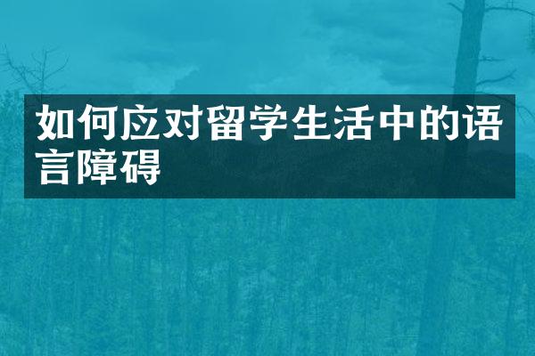 如何应对留学生活中的语言障碍