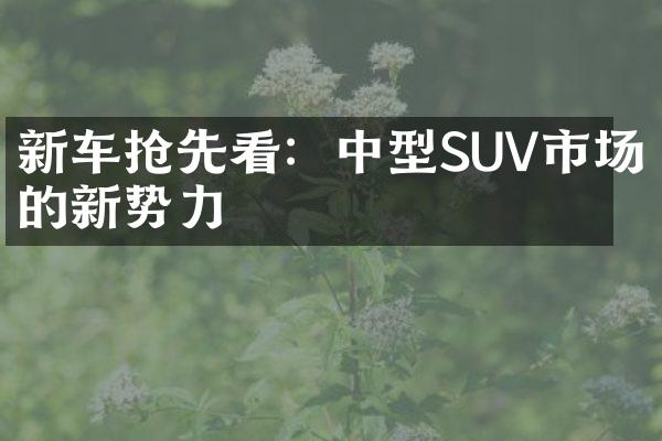 新车抢先看：中型SUV市场的新势力