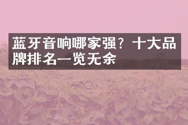 蓝牙音响哪家强？品牌排名一览无余