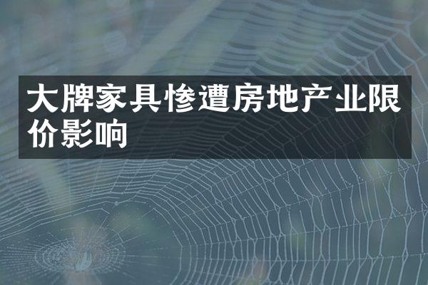 牌家具惨遭房地产业限价影响