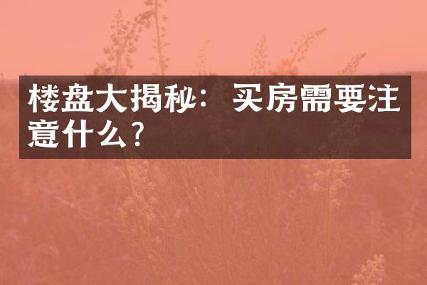 楼盘大揭秘：买房需要注意什么？