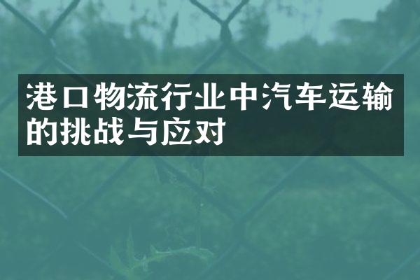 港口物流行业中汽车运输的挑战与应对