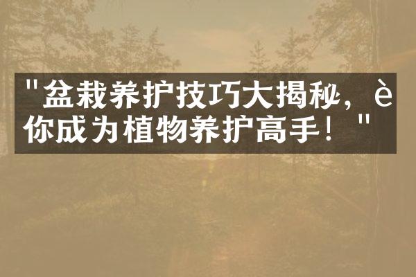 "盆栽养护技巧大揭秘，让你成为植物养护高手！"