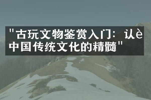 "古玩文物鉴赏入门：认识中国传统文化的精髓"