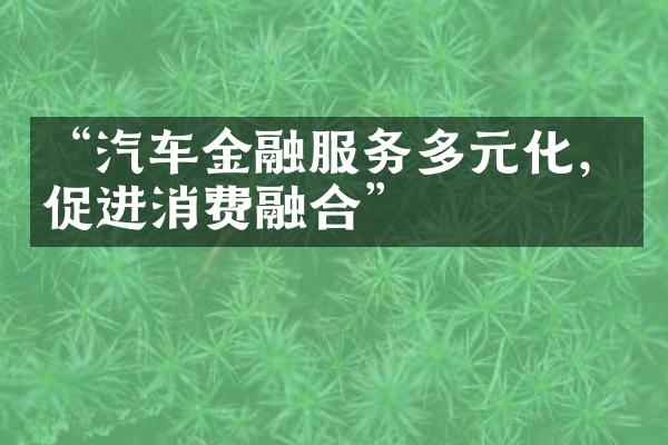 “汽车金融服务多元化，促进消费融合”