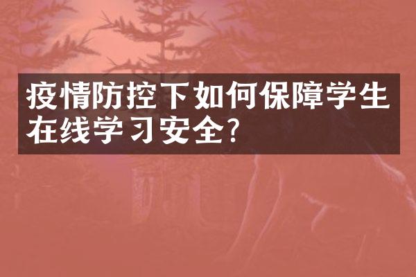 疫情防控下如何保障学生在线学习安全？