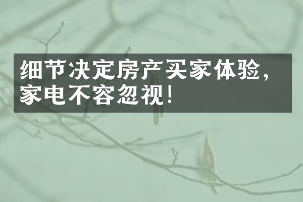 细节决定房产买家体验，家电不容忽视！