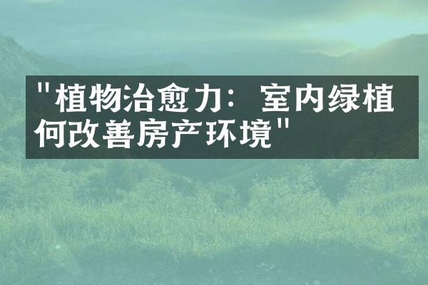 "植物治愈力：室内绿植如何改善房产环境"