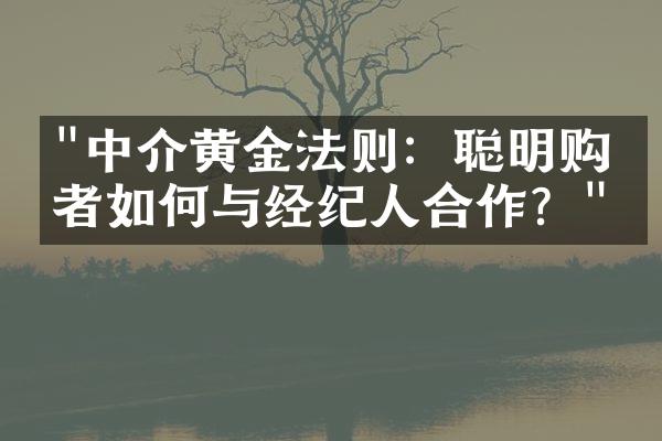 "中介黄金法则：聪明购房者如何与经纪人合作？"