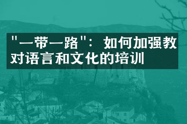 "一带一路"：如何加强教师对语言和文化的培训