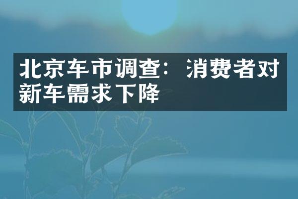 北京车市调查：消费者对新车需求下降