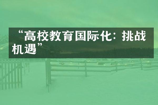 “高校教育国际化: 挑战与机遇”