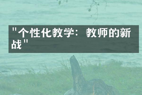 "个性化教学：教师的新挑战"