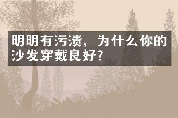 明明有污渍，为什么你的沙发穿戴良好？