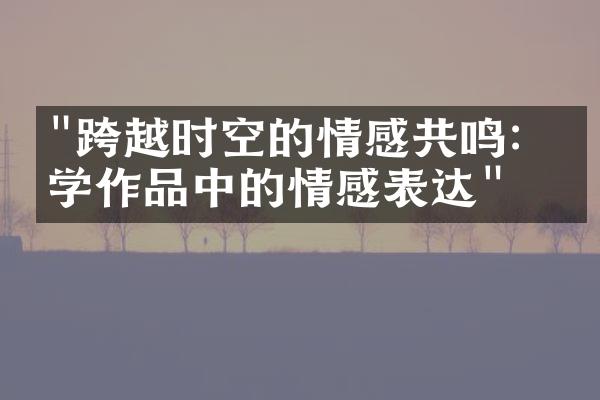 "跨越时空的情感共鸣：文学作品中的情感表达"