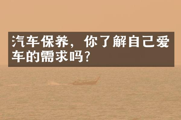 汽车保养，你了解自己爱车的需求吗？