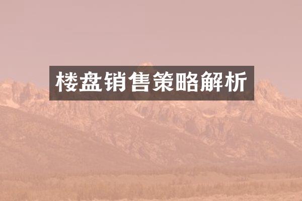 楼盘销售策略解析