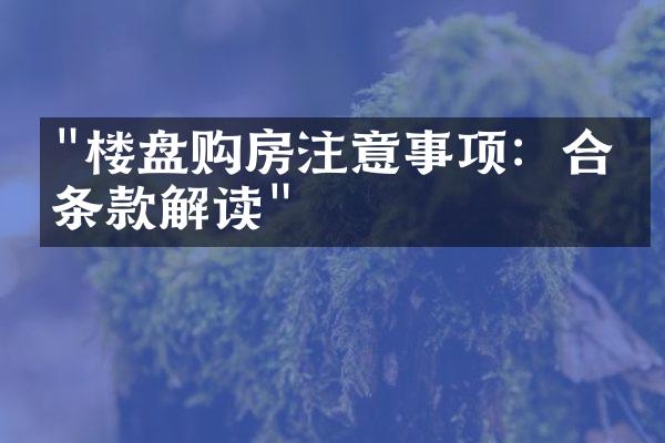 "楼盘购房注意事项：合同条款解读"