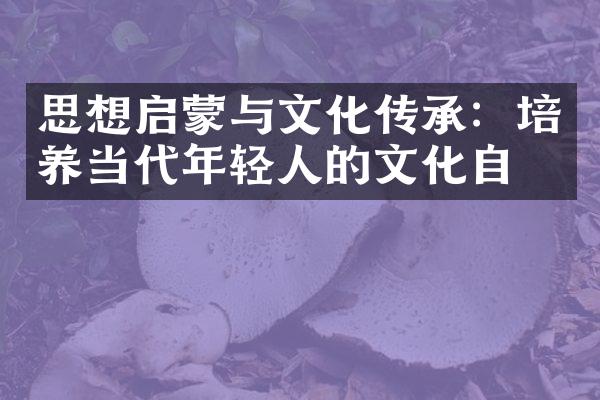 思想启蒙与文化传承：培养当代年轻人的文化自信