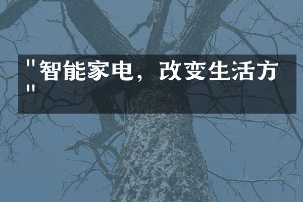 "智能家电，改变生活方式"