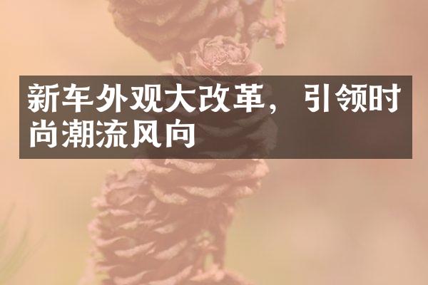 新车外观大改革，引领时尚潮流风向