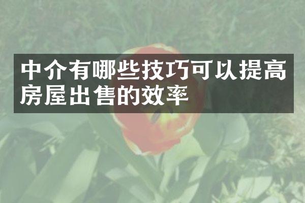 中介有哪些技巧可以提高房屋出售的效率