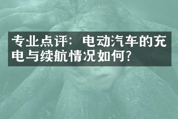 专业点评：电动汽车的充电与续航情况如何？