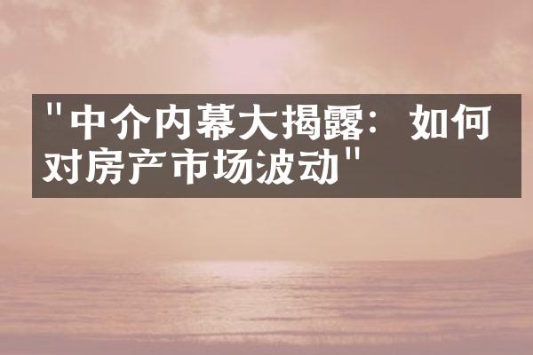 "中介内幕大揭露：如何应对房产市场波动"