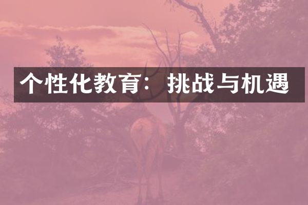 个性化教育：挑战与机遇