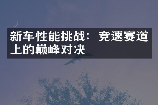 新车性能挑战：竞速赛道上的巅峰对决