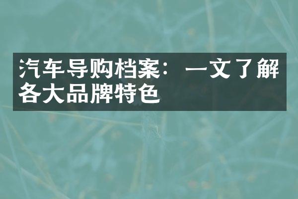 汽车导购档案：一文了解各大品牌特色