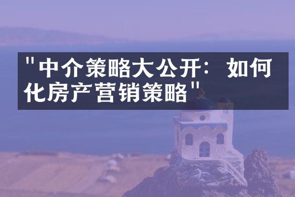 "中介策略大公开：如何优化房产营销策略"