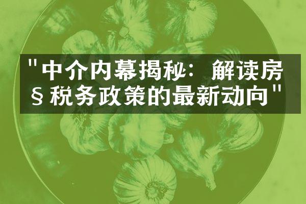 "中介内幕揭秘：解读房产税务政策的最新动向"