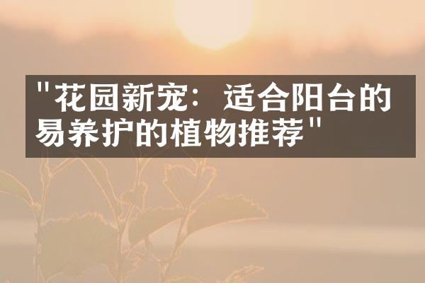 "花园新宠：适合阳台的容易养护的植物推荐"