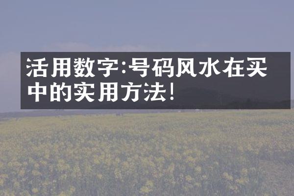 活用数字:号码风水在买房中的实用方法！