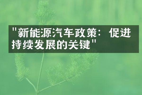 "新能源汽车政策：促进可持续发展的关键"