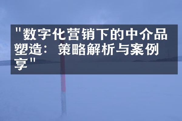 "数字化营销下的中介品牌塑造：策略解析与案例分享"