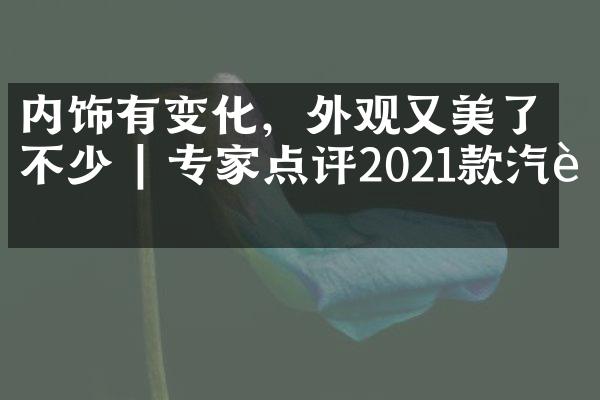 内饰有变化，外观又美了不少 | 专家点评2021款汽车