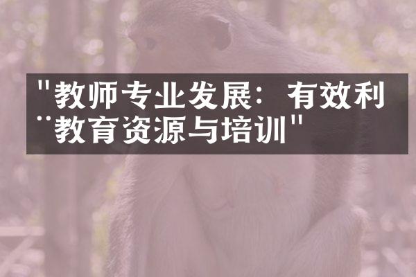 "教师专业发展：有效利用教育资源与培训"