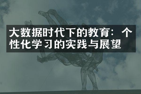 数据时代下的教育：个性化学的实践与展望