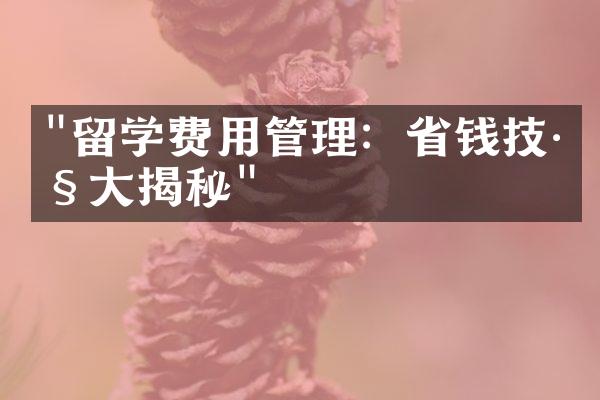 "留学费用管理：省钱技巧大揭秘"