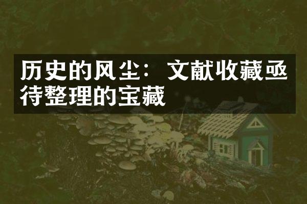 历史的风尘：文献收藏亟待整理的宝藏