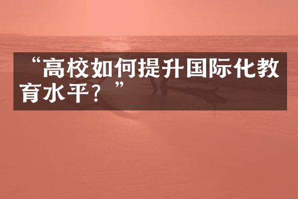 “高校如何提升国际化教育水平？”