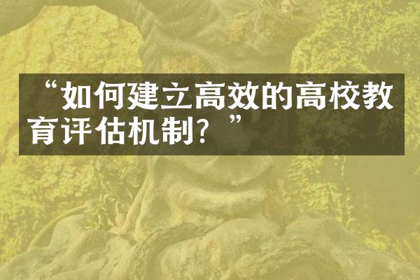 “如何建立高效的高校教育评估机制？”