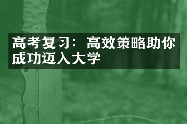 高考复：高效策略助你成功迈入学